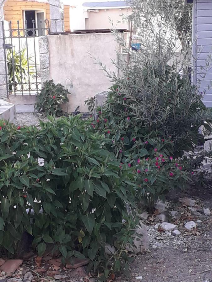 Maison Cosy Cournonterral Exterior photo